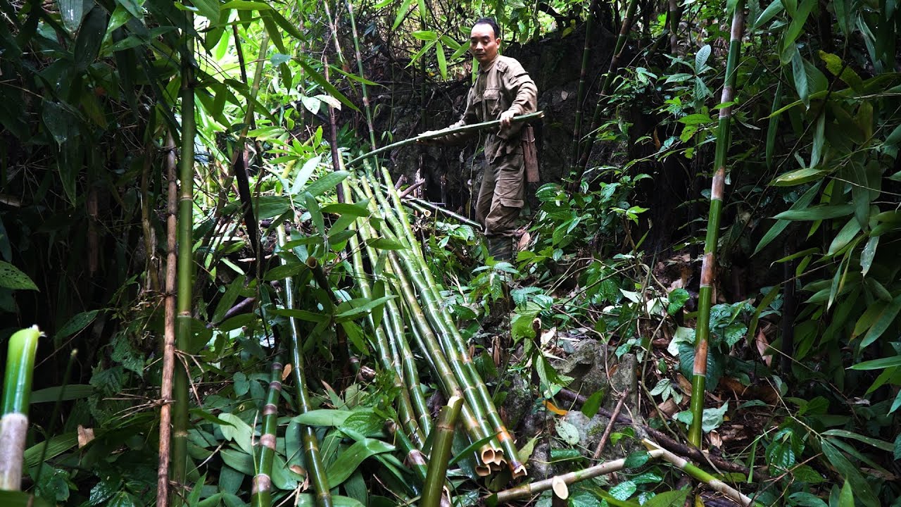 Finding food near shelter and fixing the hut | LIVING OFF THE GRID | Episode 103