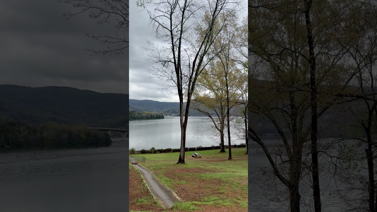 Some rest areas are just gorgeous! 