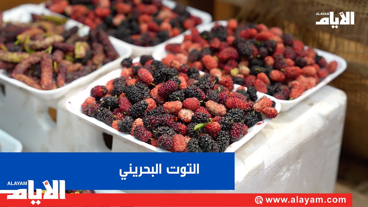 ����� �������� ��� ����� ������ �� ������
 - نشر قبل 11 دقيقة