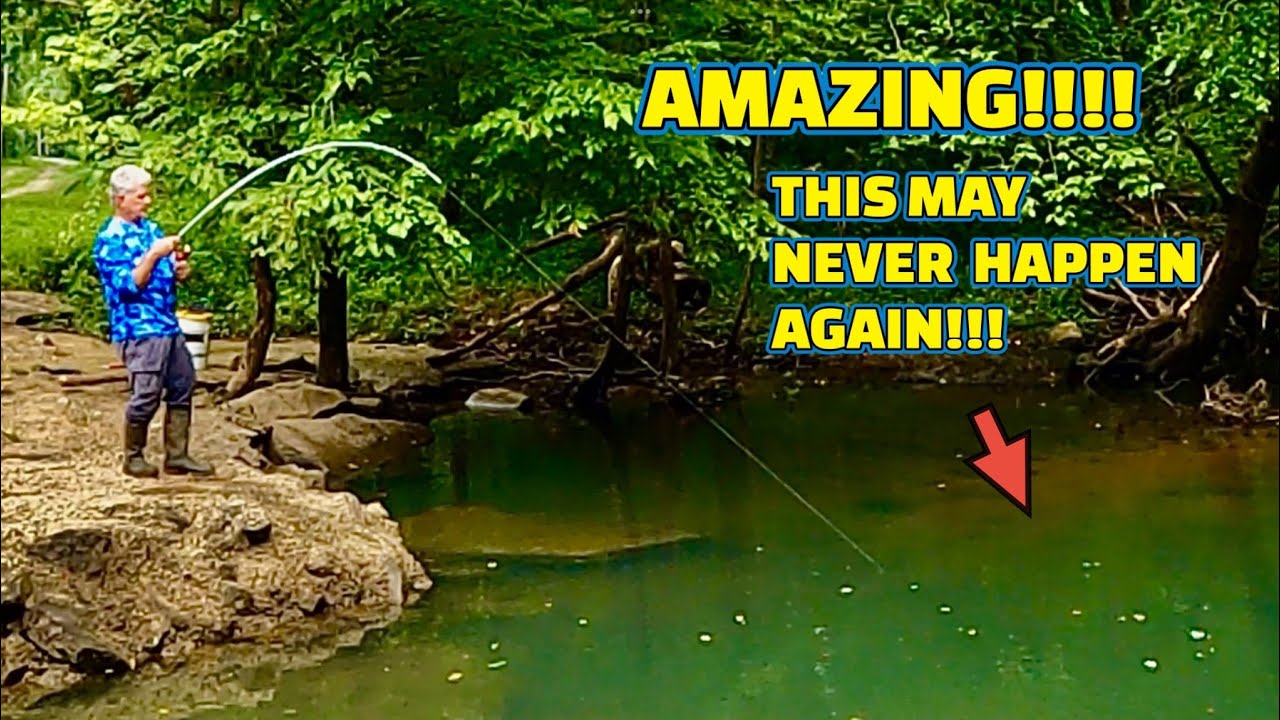 (CRAZY) UNREAL ACTION PACKED FISHING!!!!