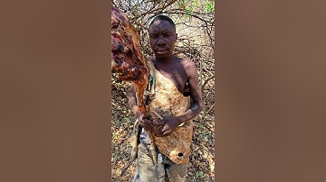 Hadzabe Tribe Chhaba Eating ll #shorts