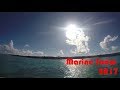 Marine Snow PV