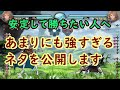 【GBVS】安定して勝ちたい人必見! あまりにも強すぎるネタ公開【グラブルVS】
