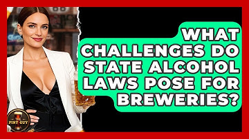 What Challenges Do State Alcohol Laws Pose For Breweries? - The Pint Guy
