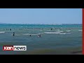 Klan News - Shqiptarët e Kosovës, besnikë të Shëngjinit