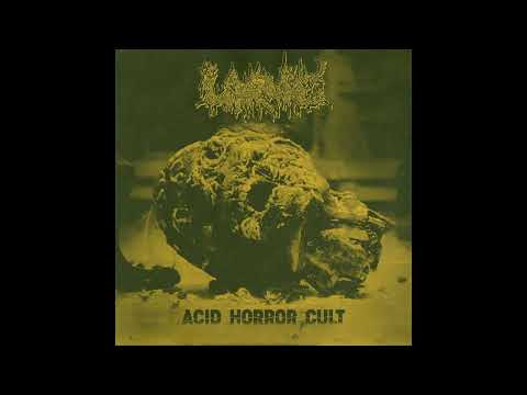 Acid Horror Cult artwork
