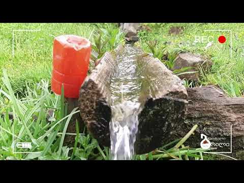 სოფელი ბრილის ახალგაზრდები