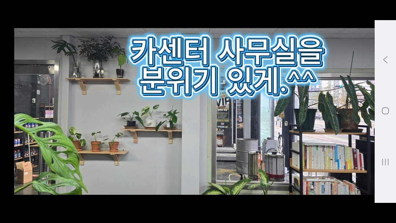 카센터사무실에식물다이설치