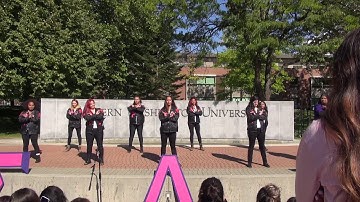 EWU Mysterious Mu Delta 2017 Yard Show