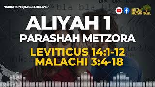 Aliyah 1 | Parashah Metzora
