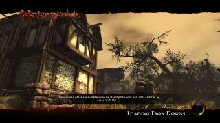 Neverwinter - Level 43 Dark Elf Rogue / Entering Ebon Downs (Xbox One)