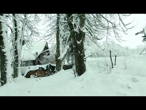 Video: Snow In The Country: Help Or Harm?