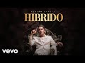 Virln garca  hbrido cover audio