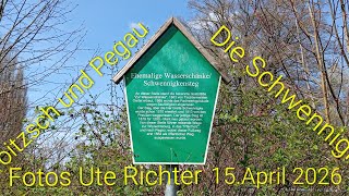 Die Schwennigke, Groitzsch Und Pegau