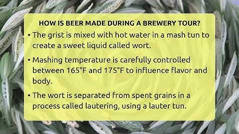 How Is Beer Made During A Brewery Tour? - The Pint Guy