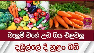 බැලුම් වගේ උඩ ගිය එළවලු දඹුල්ලේ දී හුළං බහී | Vegetable Price | Rupavahini News