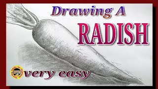 Featured image of post Radish Drawing Shading Placing a radish in the crafting grid gives you a radish seed