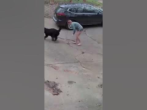 Прогулянка з собакой 😁 - YouTube