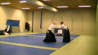 Aikido Examen 2E Kyu