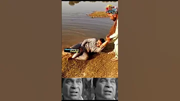 Fish Giving Blowjob 