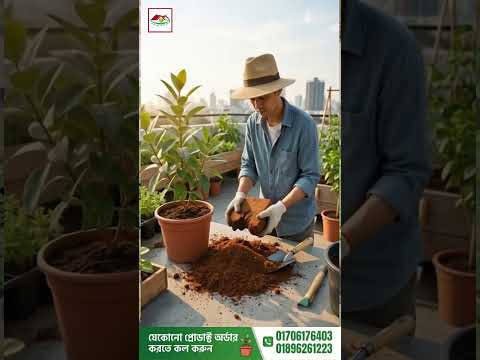 গাছের প্রুনিং করা কেন গুরুত্বপূর্ণ? বিস্তারিত জানুন | Why Pruning is Important for Plants 🌿✂️