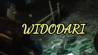 widodari (denny caknan)