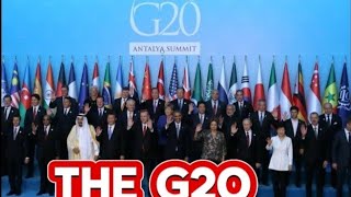 Decoding the G20: Navigating Global Economic Dynamics
