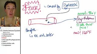 fever due to innate immunity