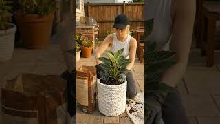 DIY Concrete Planters: Easy Rope-Textured Planter Tutorial!