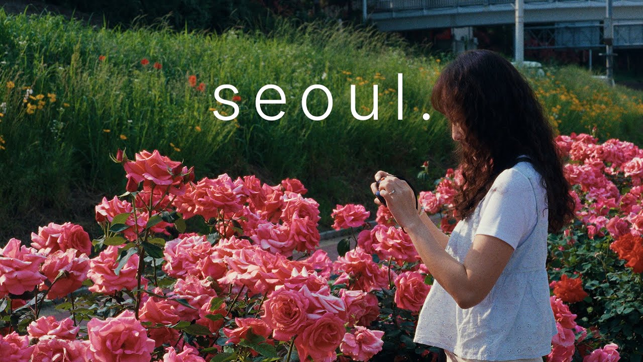 사진 잘 찍고 싶은 사람 | 리코GR3x | 출사 | 중랑장미공원 | Korea Travel