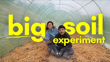 Abandoned Land to OFF-GRID Homestead: BIG Soil Experiment Begins