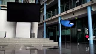 #Job to #Robot: Festo Corporation :  #Robotics eMotionButterflies#Robots looking for #jobs @jobtorob