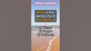 General Knowledge Quiz - How many did you get?🧠👍🤓 #puzzles #quiz #learn #curiosity #trivia #fyp #fy