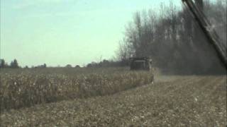 Corn Harvest 2011