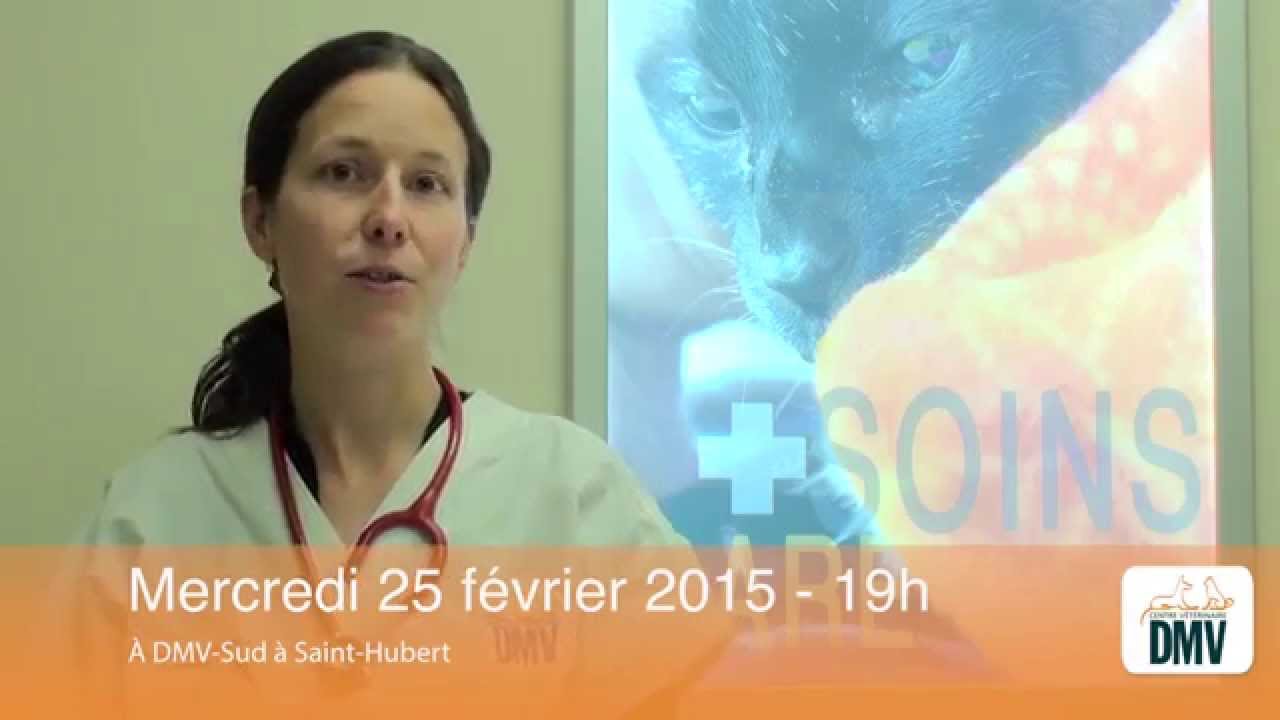 Conférence Bayer Dre Dominique Paquette YouTube