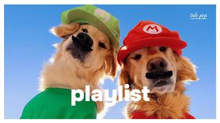 видео: PLAYLIST | Включив это, я чувствую себя хорошо, серьезно 🎶✨ Эмоциональный поп летних выходных картинка: PLAYLIST | Включив это, я чувствую себя хорошо, серьезно 🎶✨ Эмоциональный поп летних выходных
