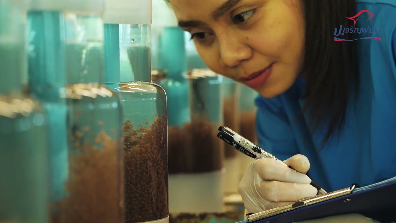 PC Farm Thailand we are aquaculture expert