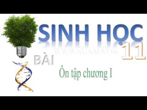 Sinh hoc lớp 11,  Bài 22,  Ôn tập chương I, thuan mai, on thi - youtube