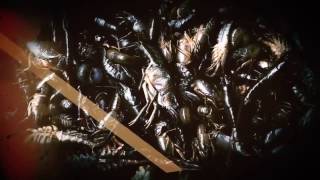 Resident Evil 7 Credits - Cinematic Part Only