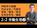 【労働生理②】神経系の組織、内分泌系、代謝系、視覚、聴覚・その他の感覚、生体恒常性（ホメオスタシス）、疲労の分類と回復・予防、睡眠について村中先生がやさしく解説！
