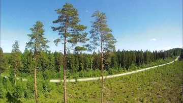 Even Betaflight 3.1.7. with PT1 and Notch filters removed can