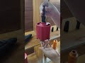 Diamond Core BitДолото сухого керна # алмазное долото # coring#drilling# HBKEENTOOS #领肖工具