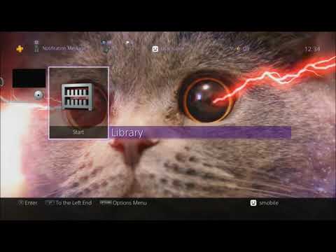 Best PS4 Laser Cat Dynamic Themes PS4