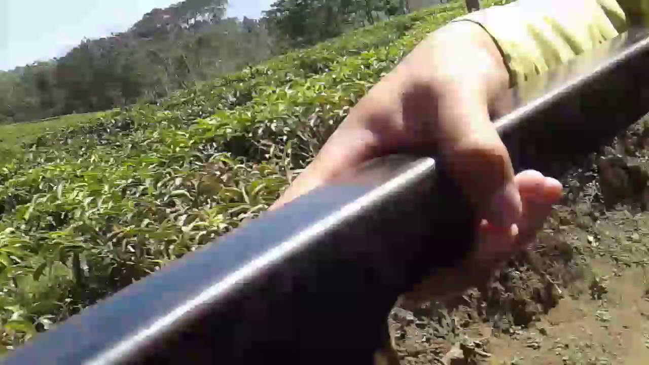 Cikuray mountain joss😎