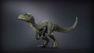 Photorealistic Velociraptor 3D Model – Rigged & Render-Ready | Maya Redshift, Arnold, V-Ray Photorealistic Velociraptor 3D Model – Rigged & Render-Ready | Maya Redshift, Arnold, V-Ray