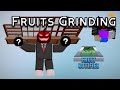 Fruit Grinding #7 [Blox Fruits]