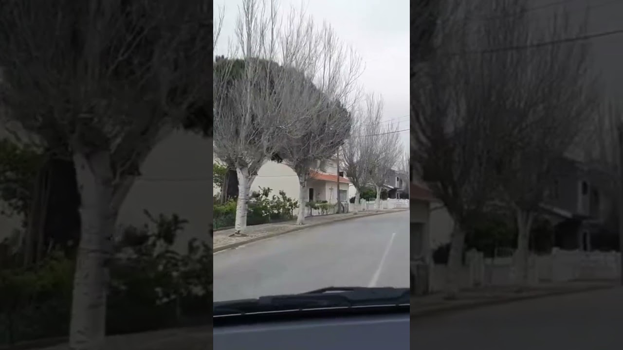 Centro da freguesia de Santa Joana em Aveiro