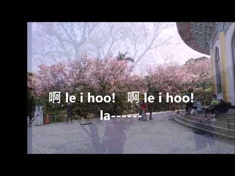 文夏的桃花鄉伴奏