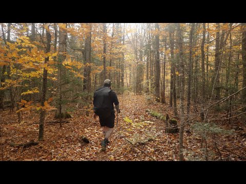 Vidéo: Une visite des cascades du New Hampshire