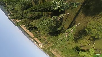 Dancing with trees....practicing treedance